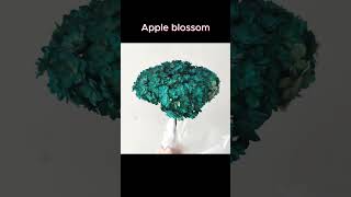 APPLE BLOSSOM wholesaleflowers driedflowers wholesaleflowermarket driedplants to USA CAN [upl. by Ligetti]