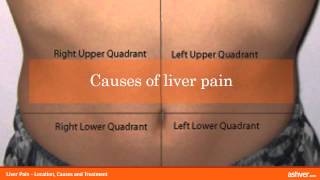 Liver Pain  Location Causes and Treatment [upl. by Nairb]