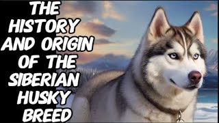 The History and Origin of the Siberian Husky Breed [upl. by Nireil]