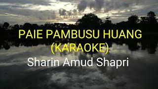 Paie Pambusu Huang Official Karaoke  Sharin Amud Shapri [upl. by Lebiralc]