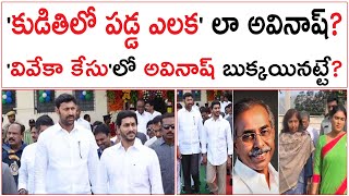 కుడితిలో పడ్డ ఎలక లా అవినాష్  వివేకా కేసు లో అవినాష్ బుక్కయినట్టే  Viveka Case On YS Avinash [upl. by Nasya]