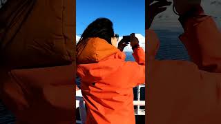 Antarctica Cruises amp Vacation Packages Shorts [upl. by Adnahcal]