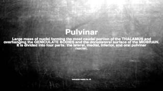 Medical vocabulary What does Pulvinar mean [upl. by Meryl571]