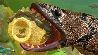 TURTLE IN ITS SHELL vs GIANT SNAKE FISH  Feed and Grow Fish  Part 62  Pungence [upl. by Ielak]