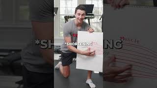 Build Tendon Strength with These Exercises [upl. by Elocen332]