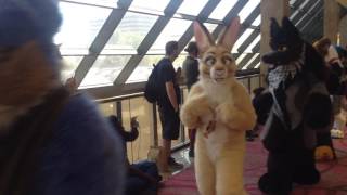 Furry Fiesta 2017 Fursuit Parade [upl. by Eelinnej]