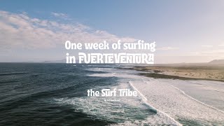 One week of surfing in Fuerteventura [upl. by Noillid]