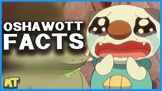 Top 5 Facts About Oshawott You Likely Didnt Know Pokémon Facts  Master Trainer [upl. by Ahseia]