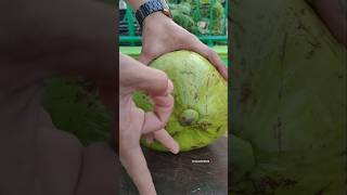 Big coconut cutting skill shortvideo [upl. by Manvil]