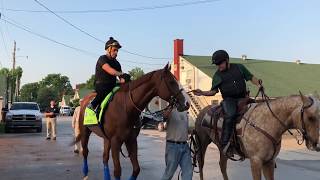 Preakness favorite Justify training May 14 at Churchill Downs [upl. by Aneger]