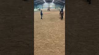 horse equestrian 2024 pony häst jumping riding automobile horseriding dressage mollymoli [upl. by Annadroj]