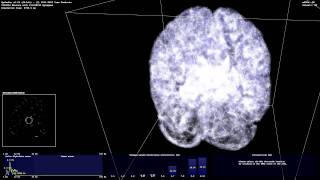 Thalamocortical System with SpikeFun  Spiking Neural Network 12M Neurons 151M Synapses [upl. by Beattie]