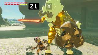 Zelda Breath of the Wild  5 Advanced Combat Tips [upl. by Ayamahs]