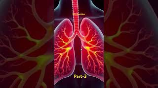 RespirationFull video is uploaded plz check mkcoaching biology shorts trending viral ytshort [upl. by Sabra]