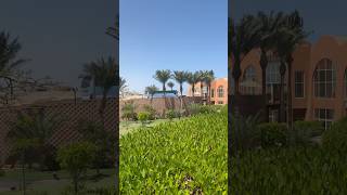 Novotel Marsa Alam Beach Resort newarrival tui novotelhotel marsaalam egypt sept2024 [upl. by Wolsniw685]