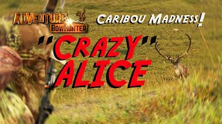 Crazy Alice  Caribou Madness [upl. by Tamarra]