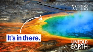 What NASA Is Looking For In Yellowstone National Park [upl. by Aniar]