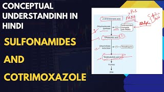 Sulfonamides and Cotrimoxazole pharmacology pharmacologymadeeasy pharmacologylectures [upl. by Gervase]