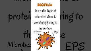 What is a Biofilm in microbiology medzukhruf microbiology biofilm [upl. by Oaoj]