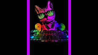 EDM   quot DJ CAT quot  PRODROMÁRIO BEATS [upl. by Loralyn]