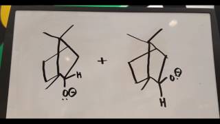 reduction of camphor to borneol and isoborneol v2 [upl. by Elletnahs]