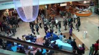 Flamenco Flashmob i Gallerian Stockholm 120616 [upl. by Kolodgie]