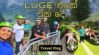 Luge ride එකේ වුන දේ  Luge Rotorua  සිංහල vlog  Journey with Sha [upl. by Egwin]