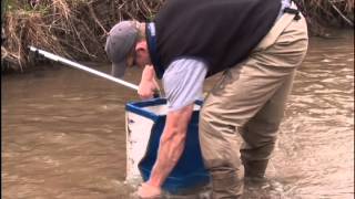 RiverWatch  Macroinvertebrate Sampling Tutorial [upl. by Nilats]