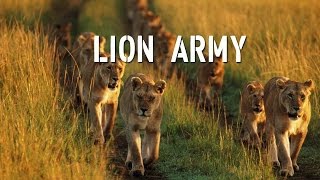 Lion Army  Battle to survive [upl. by Romeo751]