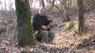 quotThe Forest Songquot di Massimo Giuntini [upl. by Clive]