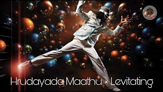 Hrudayada Maathu X Levitating  DJ RAJA  SSR TUBE  2024  MIX [upl. by Irtak]