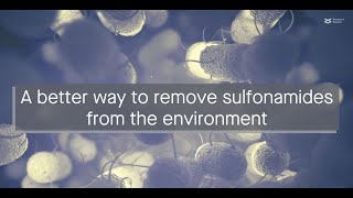 A better bioaugmentation method for removing sulfamethoxazole from the environment [upl. by Alexandros]