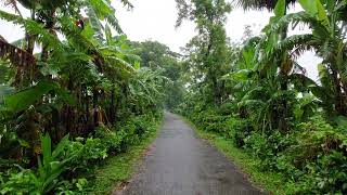 শীতকালে ঝুম বৃষ্টি অবিশ্বাস্য ব্যাপারA Winter Rainy Day in Bangladesh [upl. by Batista]