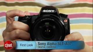 First Look Sony Alpha SLTA37 fast camera for frugal shooters [upl. by Klemperer859]