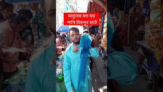 মানুষের মতো বড় পাখি মিরপুর হাটে  পাখি  Pakhi  মিরপুর ১ পাখির হাট  টিয়া পাখি  Tiya Pakhi short [upl. by Adekahs]