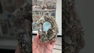 Terminated Aquamarine Crystal on Muscovite Bed [upl. by Trilley536]