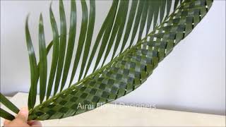 アレカヤシの葉の編み方 How to weave areca palm leaves [upl. by Trimble]