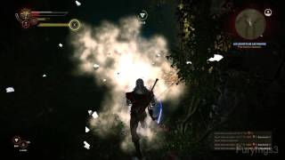 The Witcher 2 Walkthrough HD FR Part 65  Les Secrets de Loc Muinne [upl. by Goggin298]