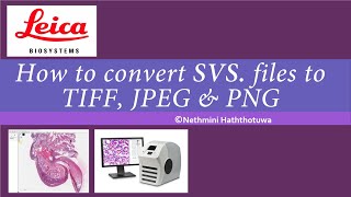 How to convert SVS files to Tiff JPG or PNG [upl. by Eceertal989]