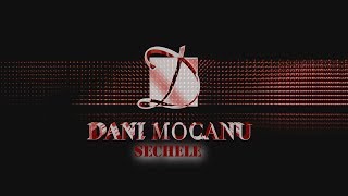 Dani Mocanu  Sechele  Official Audio [upl. by Gupta]