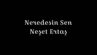 Neredesin Sen  Neşet Ertaş cover [upl. by Zephaniah627]