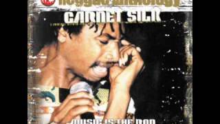 Garnet Silk  Zion In A Vision  Friends For Life Riddim [upl. by Faso]