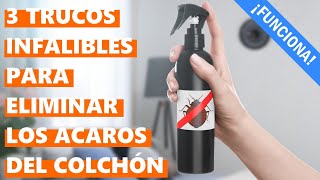 Cómo eliminar los ácaros del colchón rápido y fácil [upl. by Anifur]