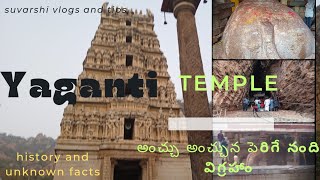 Yaganti temple అంచ్చు అంచున పెరుగుతున్న బసవన్న నంది యాగంటి గుహలు వాటి రహస్యలు yagantitemple [upl. by Ydal]