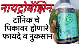 नायट्रोबेंझिन टॉनिक चे फायदे 🌾 Nitrobenzene 20  boom flower benefits🎋Nitrobenzene20 [upl. by Zil]