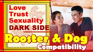 Rooster and Dog Compatibility in Love Life Trust Intimacy  Rooster and Dog Zodiac Compatibility [upl. by Adnirol498]