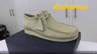 Wallabees Unboxing review amp on feet [upl. by Nohsid]