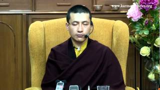 HH the 17th Karmapa Guiding a Meditation [upl. by Hogue]