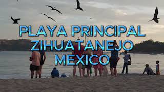 PLAYA PRINCIPAL ZIHUATANEJO MEXICO mexicanbeach zihuatanejo travel playa principal mexico [upl. by Jorgensen]