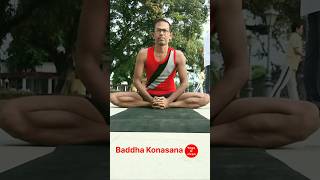 Baddha Konasana  Yoga O Jivan 🧘‍♂️ shorts yoga shortvideo trending [upl. by Kenison229]